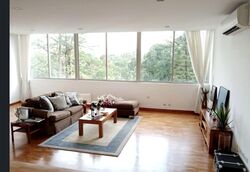 Nassim Regency (D10), Condominium #597111761
